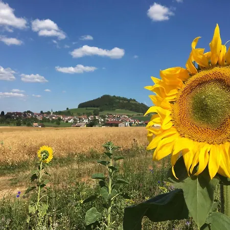 Rössle Furstenberg (Baden-Wurttemberg)